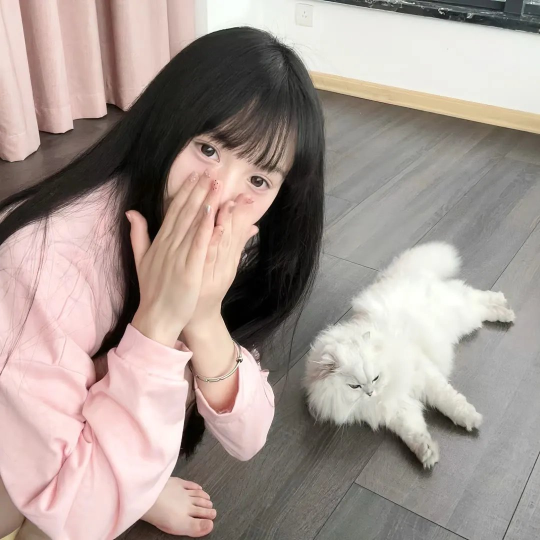 遨翔加州